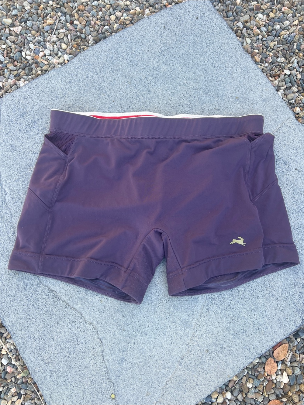 Tracksmith Plum Athletic Shorts with Gold Logo size Large